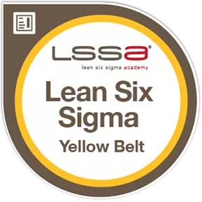 Lean Six Sigma Yellow Belt examenvoucher inclusief boek